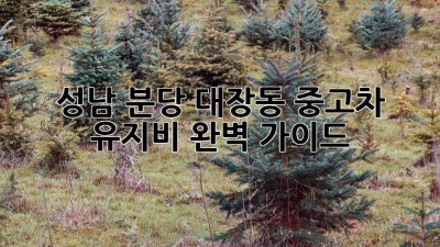 성남 분당 대장동 중고차 유지비 완벽 가이드